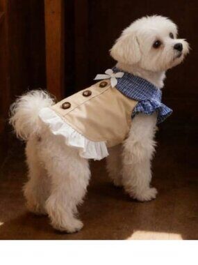 NEW! Size Small French Cafe Pet Outfit
